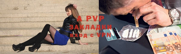 шишки Беломорск