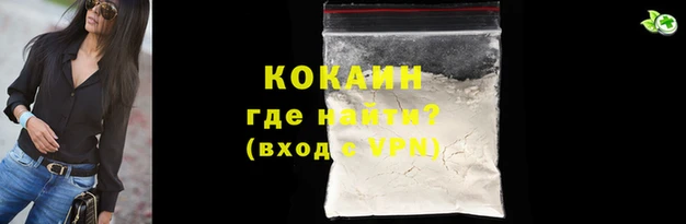 шишки Беломорск
