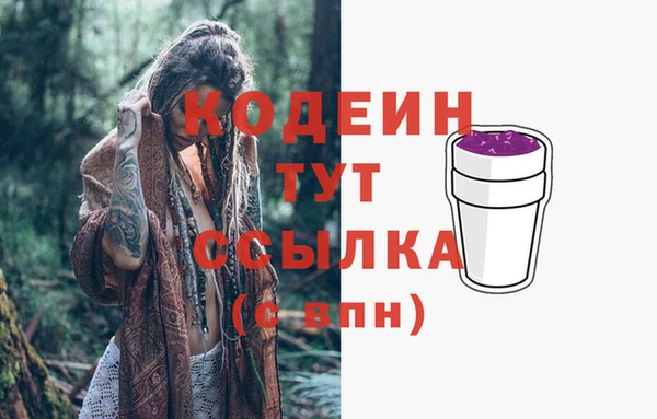 шишки Беломорск