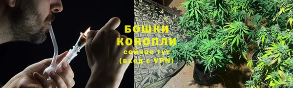 шишки Беломорск