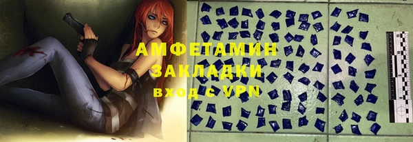шишки Беломорск