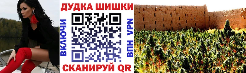 Конопля сатива  наркошоп  Чулым 